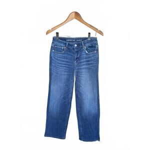 American Eagle Low Rise Baggy Wide Leg Jeans Women's Size 0